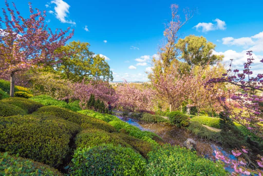 trastevere botanical garden