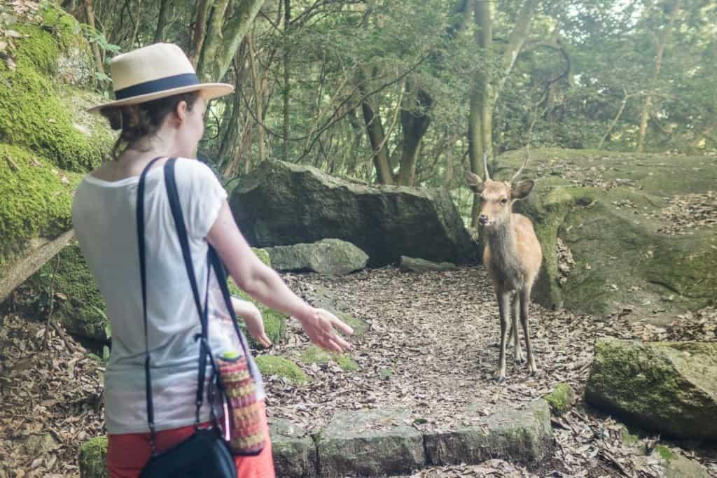 Japan, Miyajima, travel