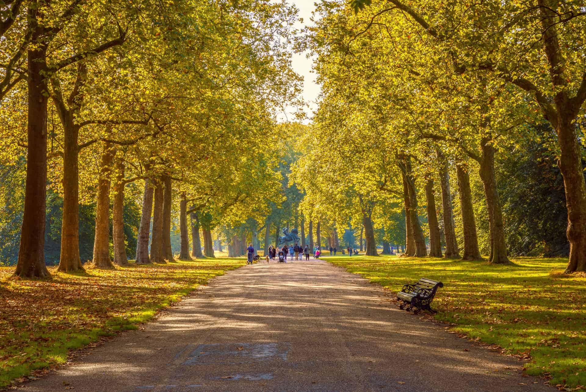 hyde park london 3 days