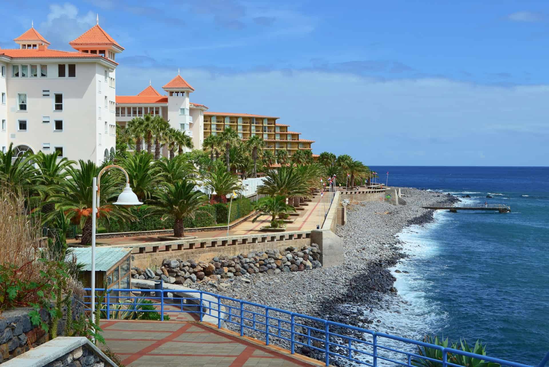 caniço madeira