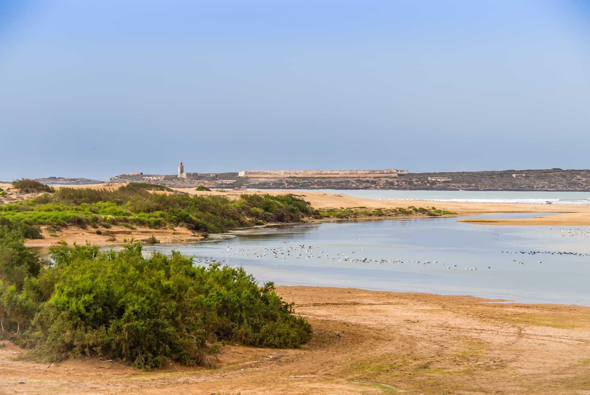 stay in diabat essaouira