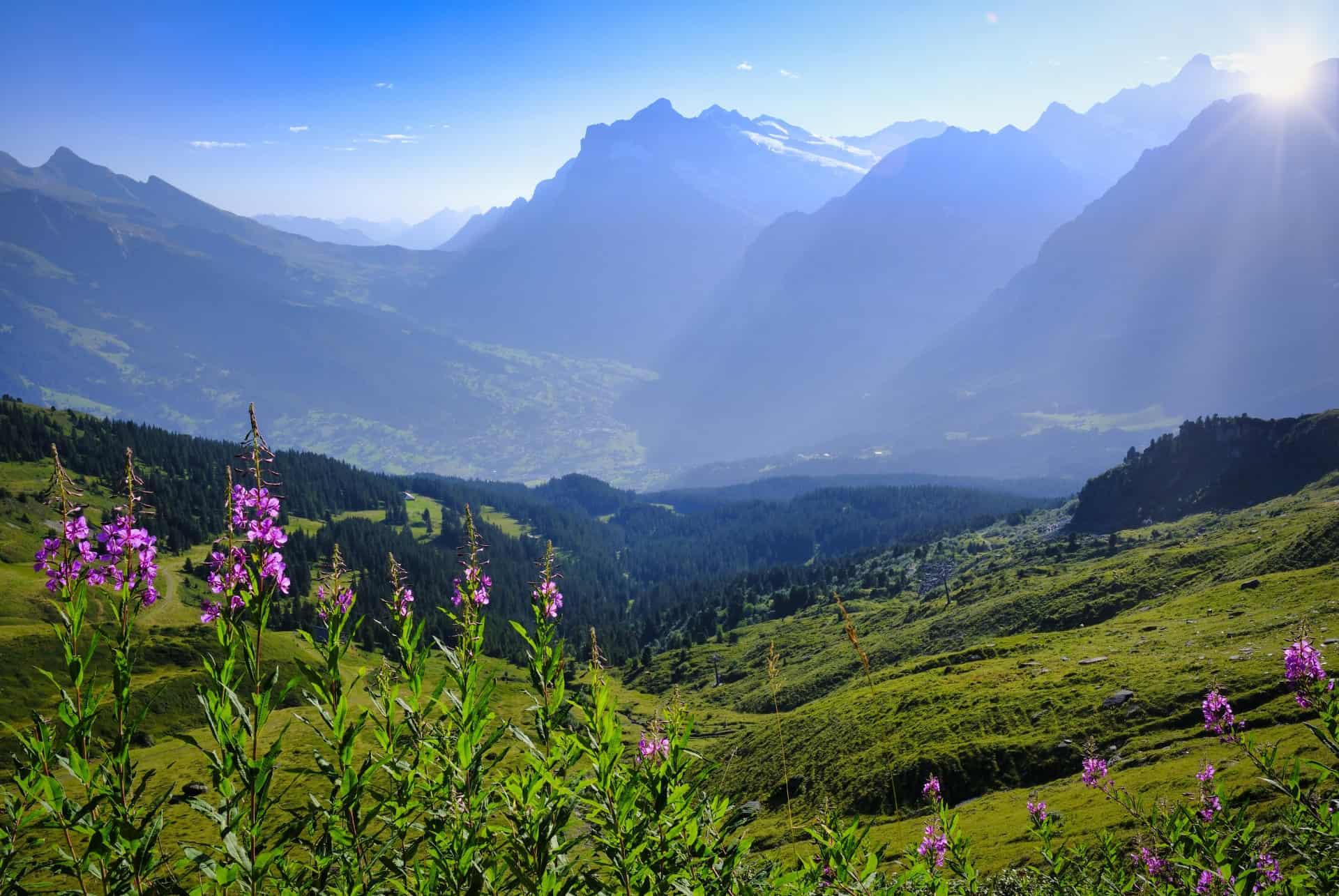 The Most Beautiful Hikes in Switzerland