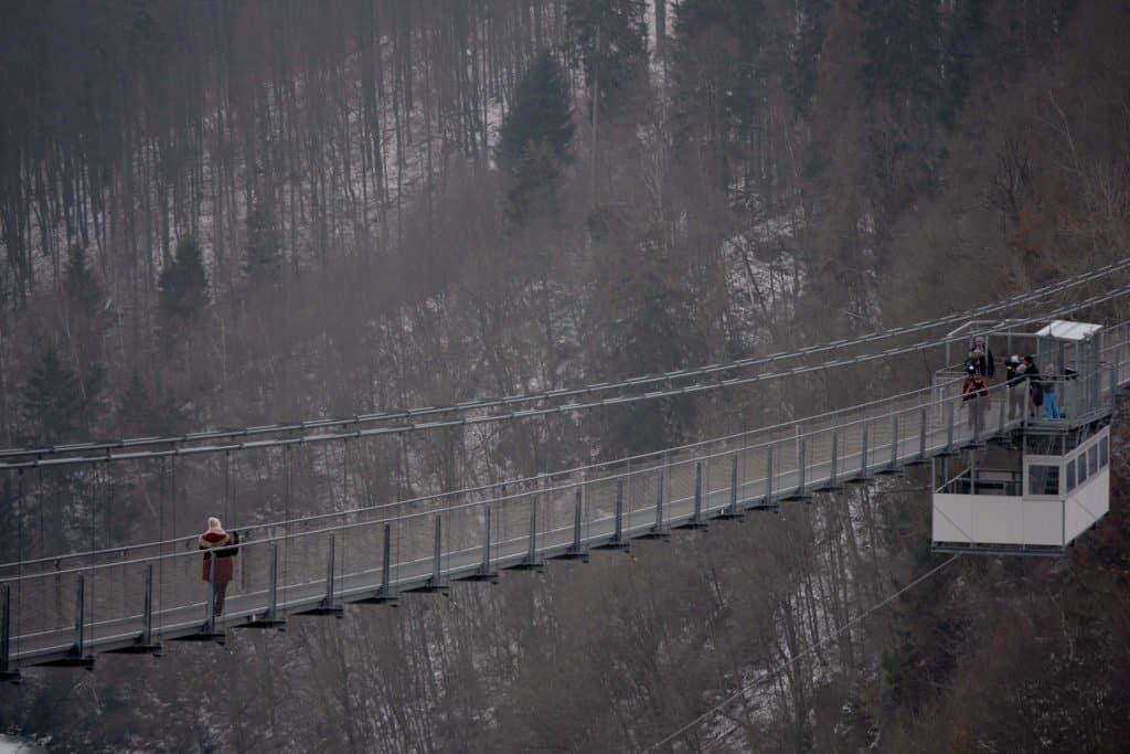 Nature and Timber Framing: Extended Weekend in Harz