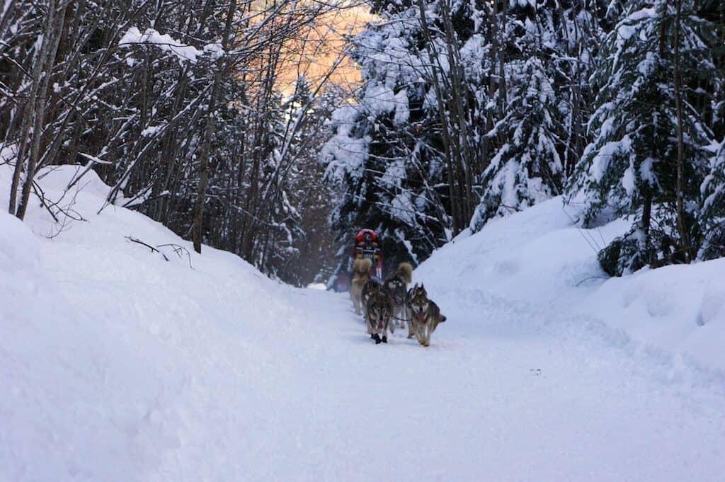 The Great Odyssey: portrait of mushers (2/2)