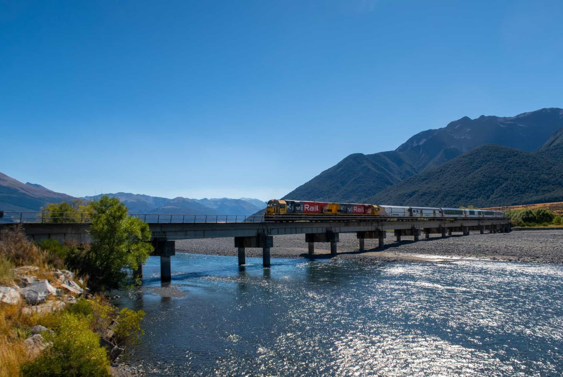 What to Do in New Zealand?