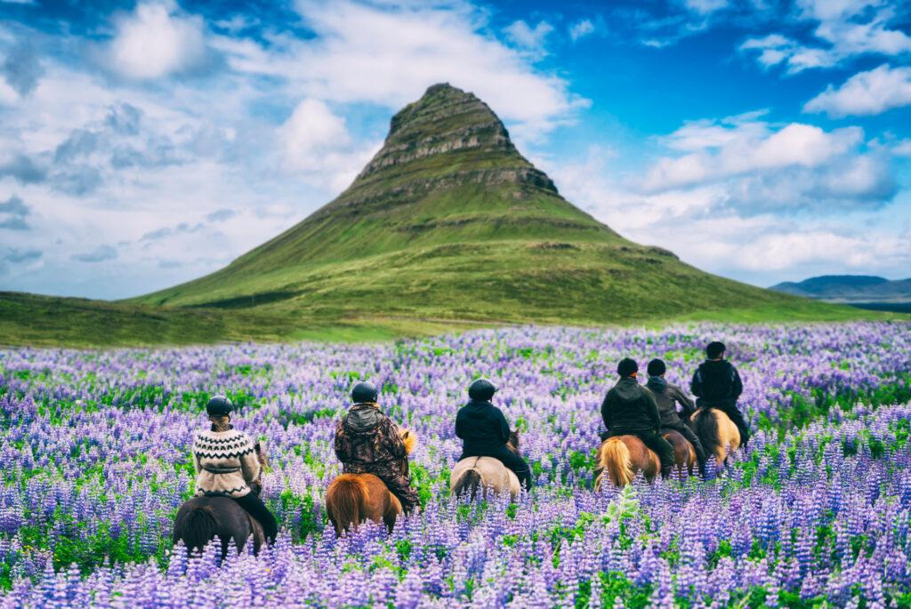 The Best Activities in Iceland