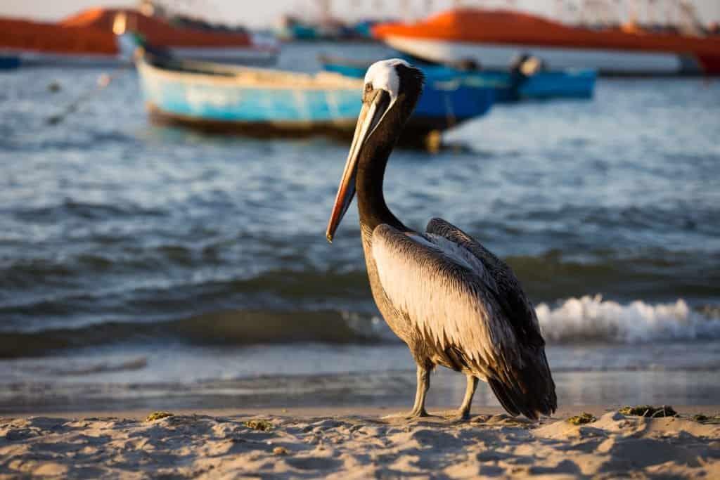 14 Photos to Dream About Peru