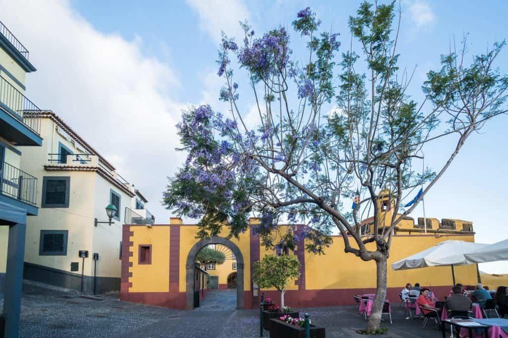 Take me to Madeira